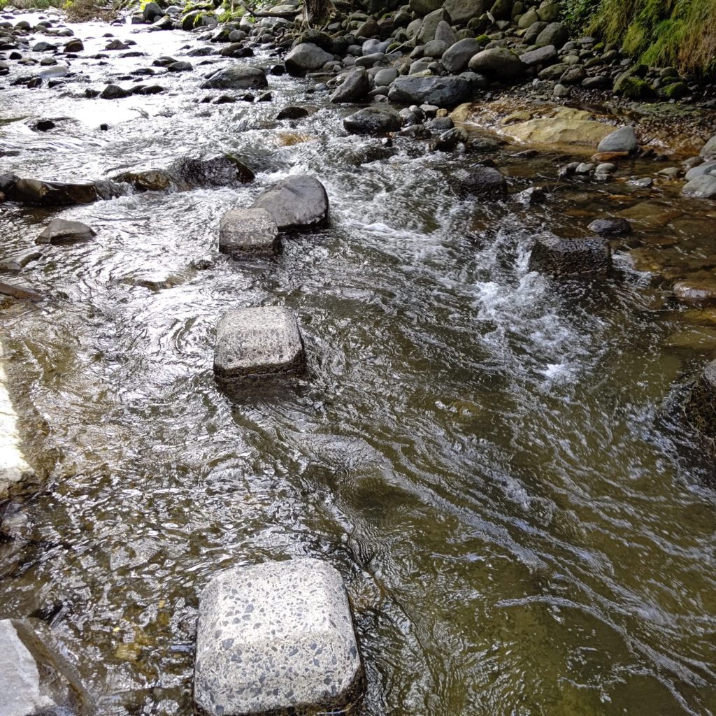 流れ込みからDコンタクトでヤマメをヒット