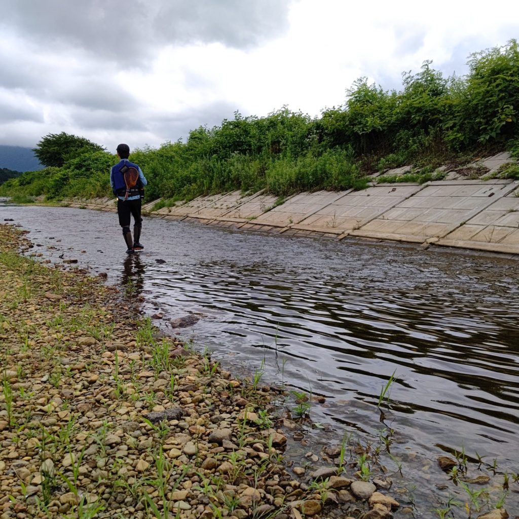夏の渓流でルアーフィッシング