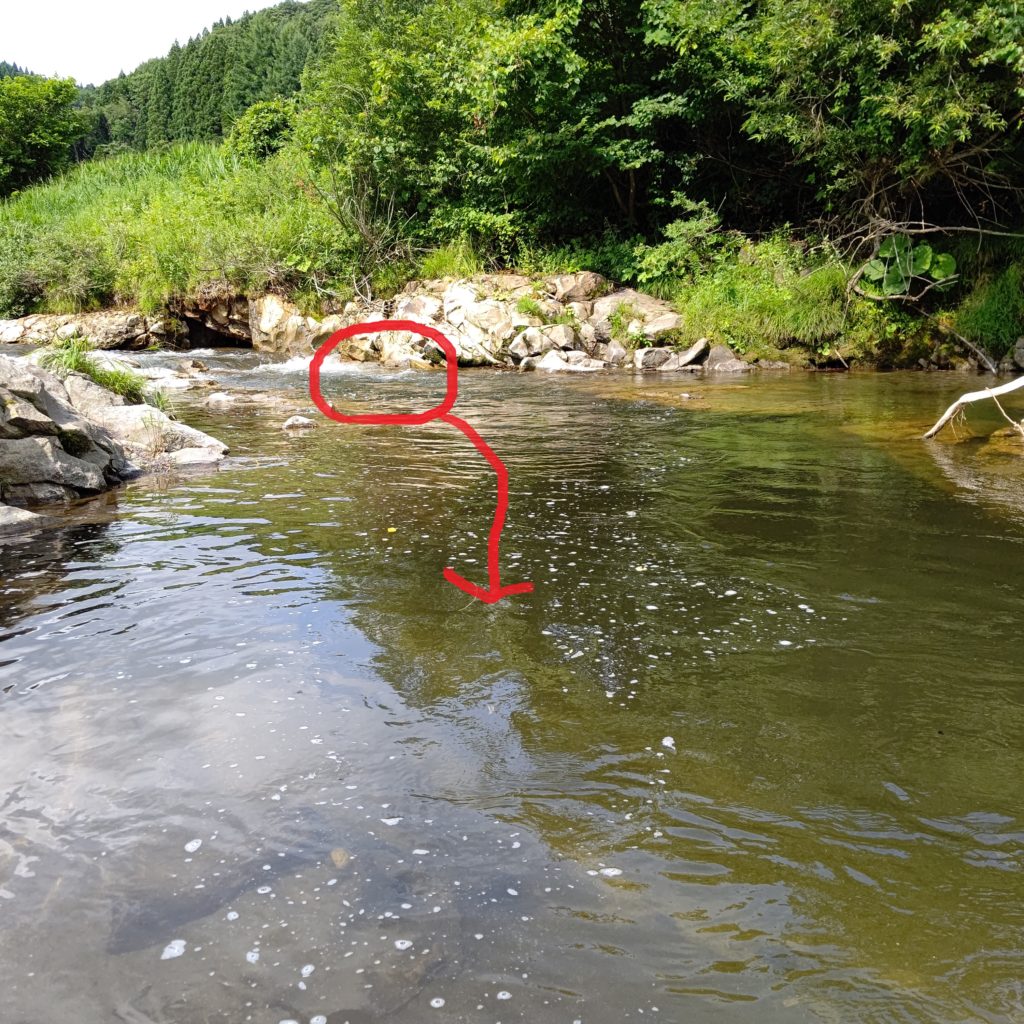 秋田の渓流でのヤマメのヒットコース