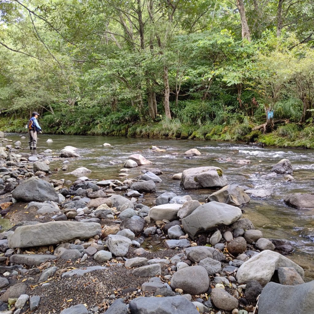 秋の渓流釣り