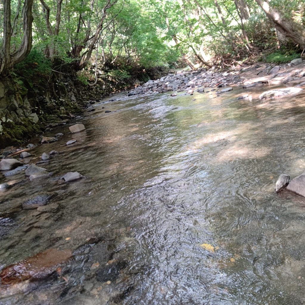 人的プレッシャーの高い渓流でルアーフィッシング