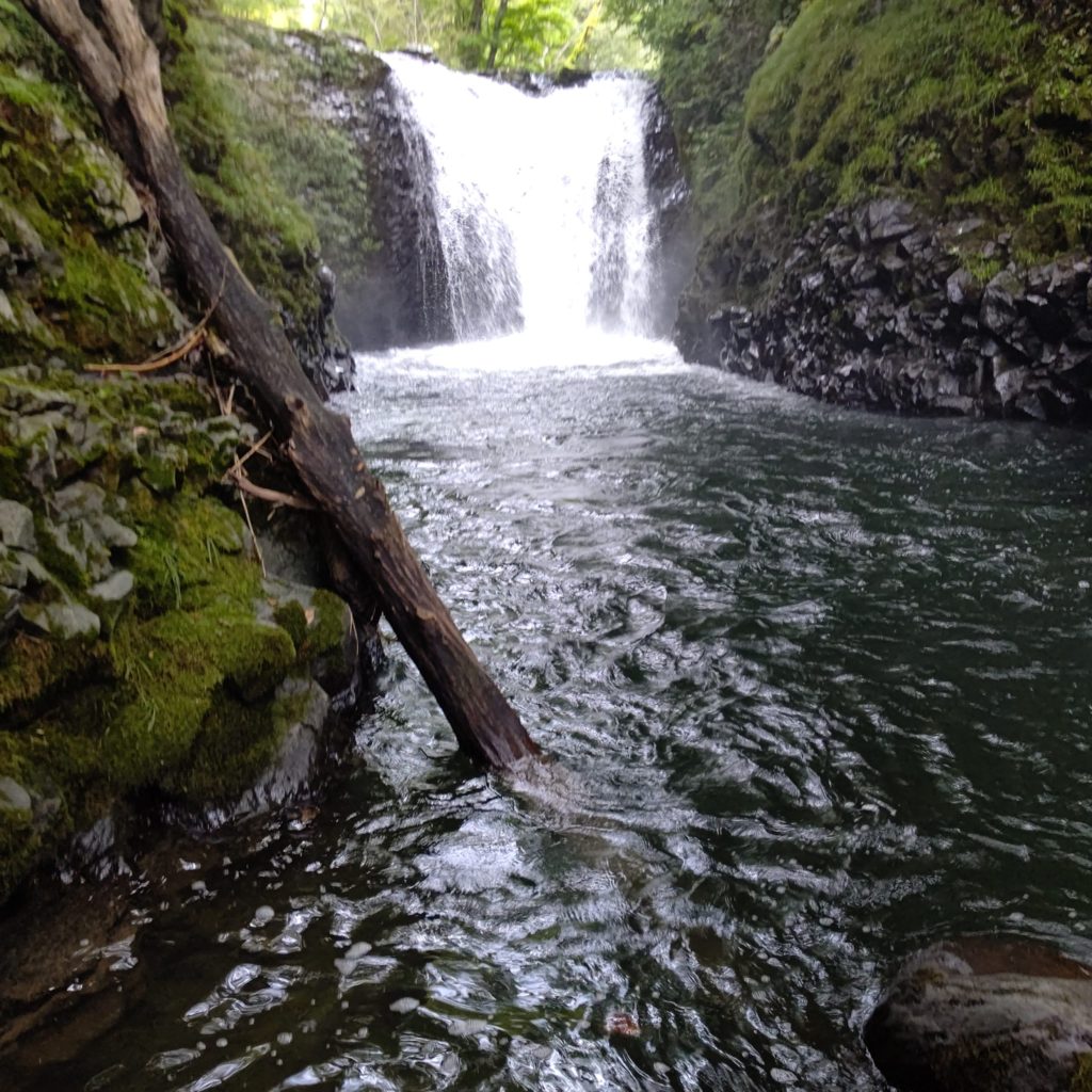 秋田県の止滝で渓流釣り
