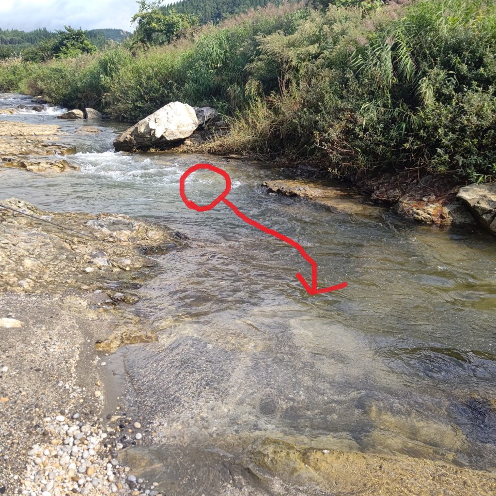 白泡で良型ヤマメのヒット