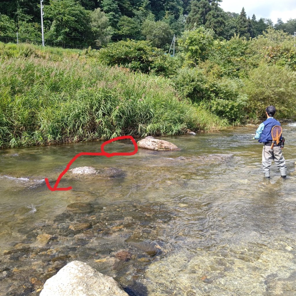 岩の下に潜むヤマメがヒット