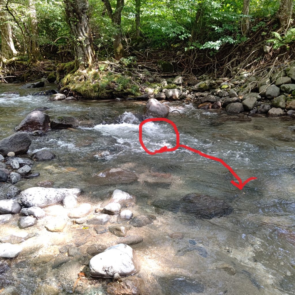 秋ヤマメの居つくポイント