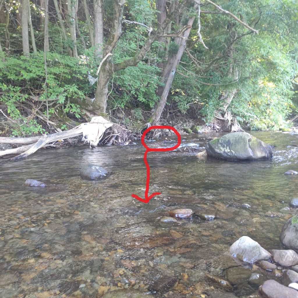 アップキャストによるイワナのヒットコース