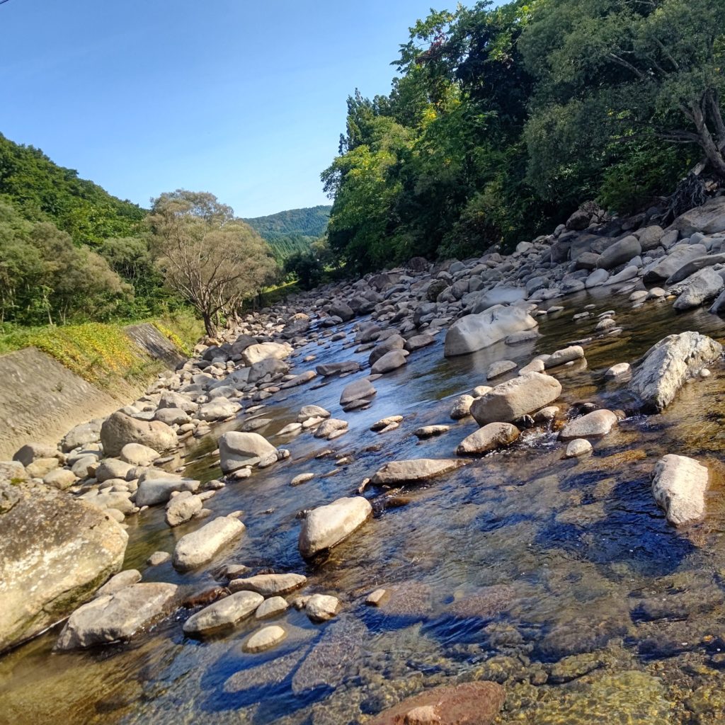 渇水の渓流でルアーフィッシング