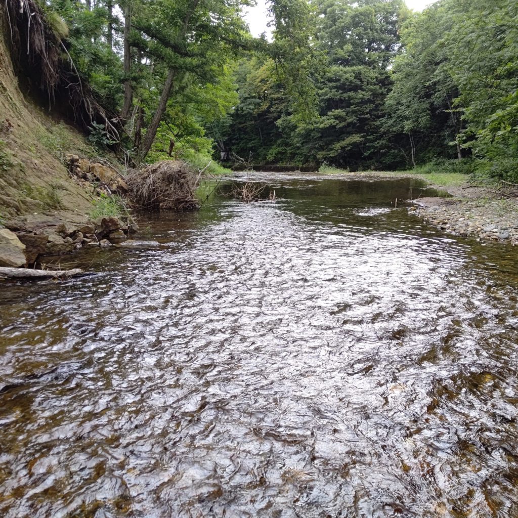 秋田県の渓流でルアーフィッシング