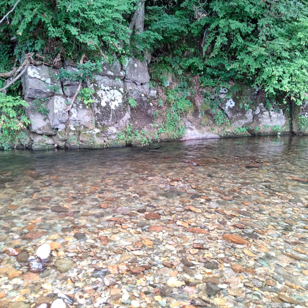 渓流釣りで訪れた淵