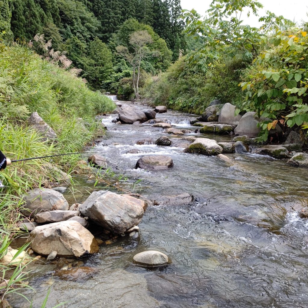秋田の渓流でルアーフィッシング