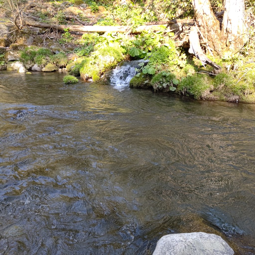 秋田県の止滝付近でルアーフィッシング