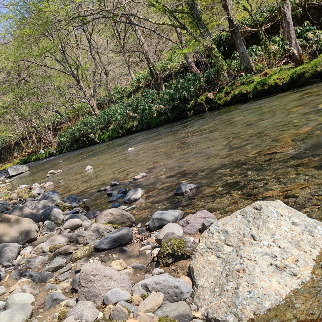 秋田県大湯で渓流釣り