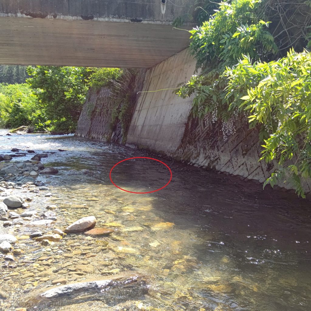 渓流でイワナをルアーでヒットしたポイント