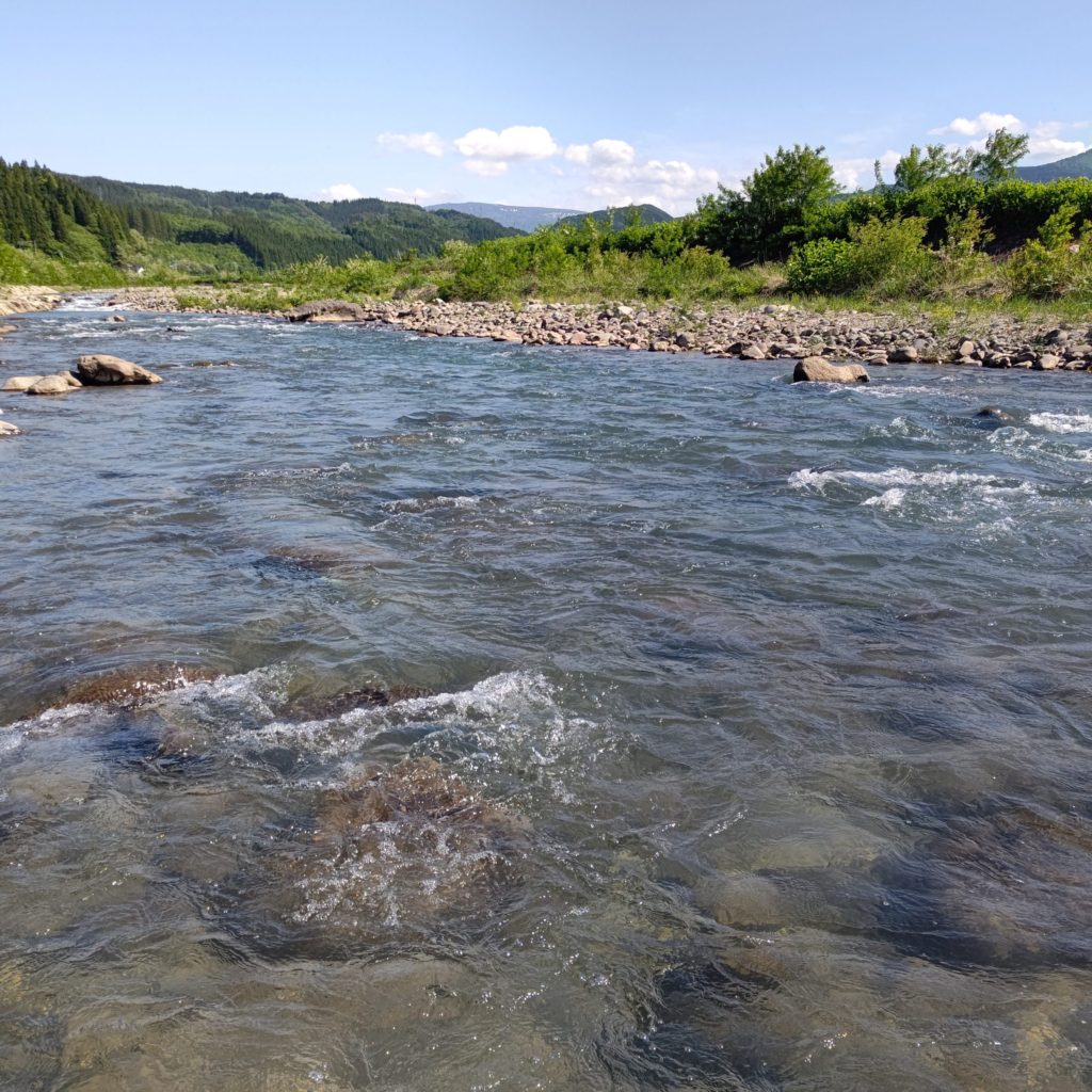 熊沢川でルアーフィッシング