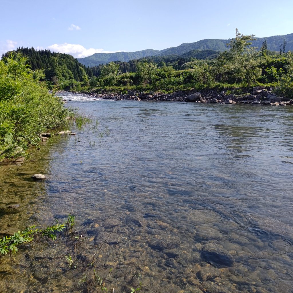 里川の流れ込みでルアーフィッシング