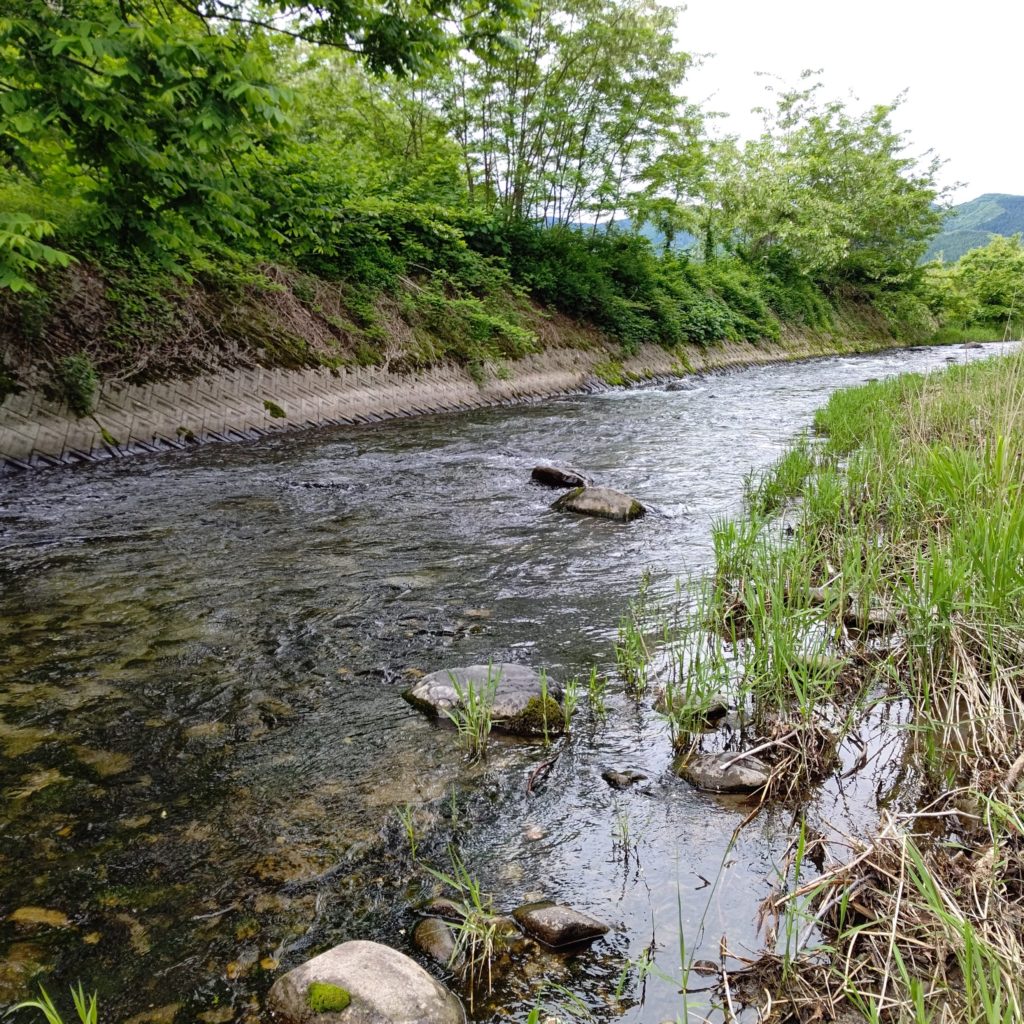 苔の生えた渓流